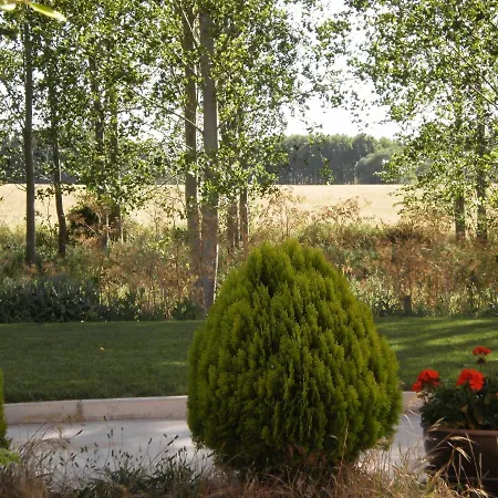 Santa Coloma Del Camino