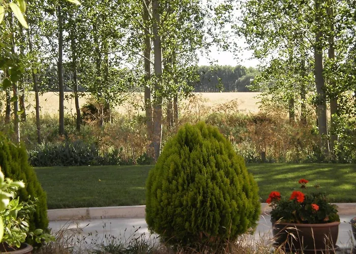 Santa Coloma Del Camino